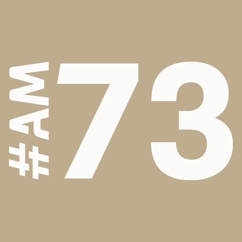 AM73