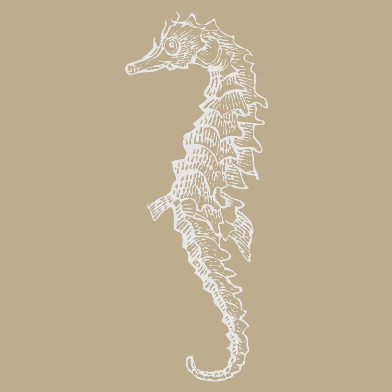 Seepferdchen