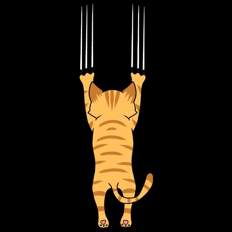 Chat Chats Griffes Animaux de compagnie Amoureux des chats