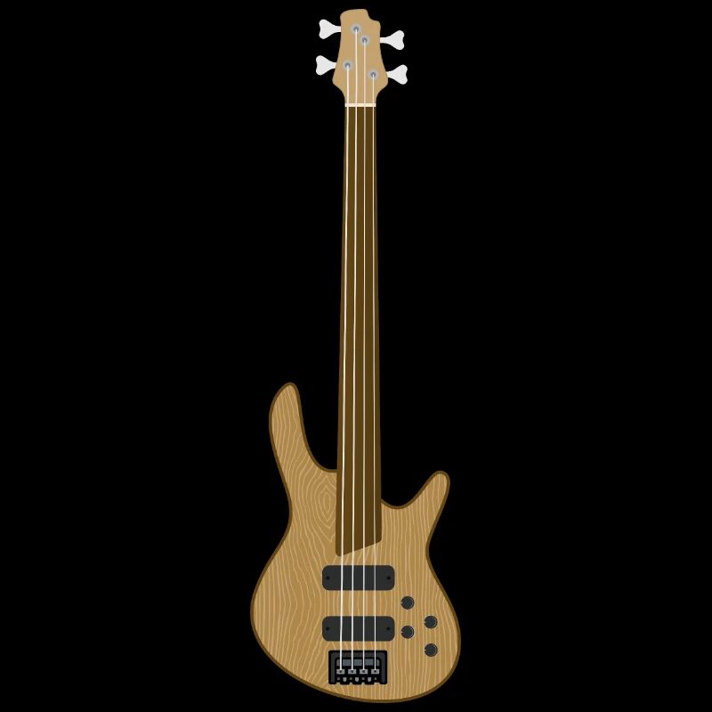 Guitare basse fretless