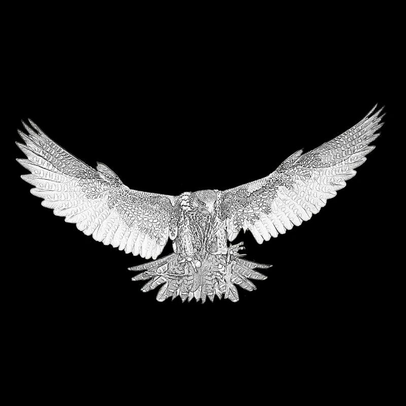 Hawk dessiné