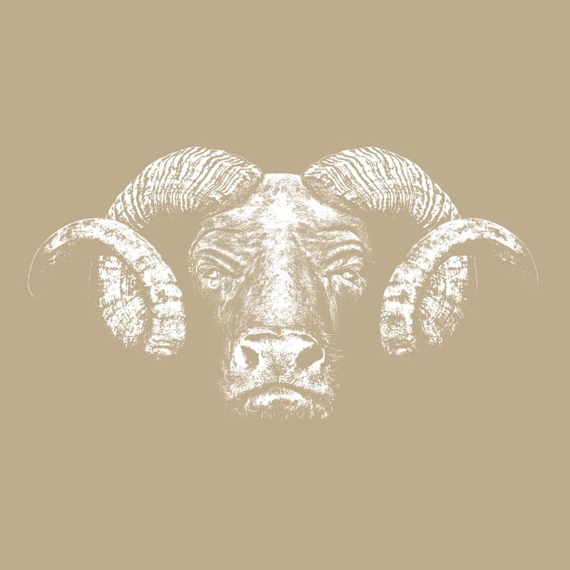 Minotaur / Head