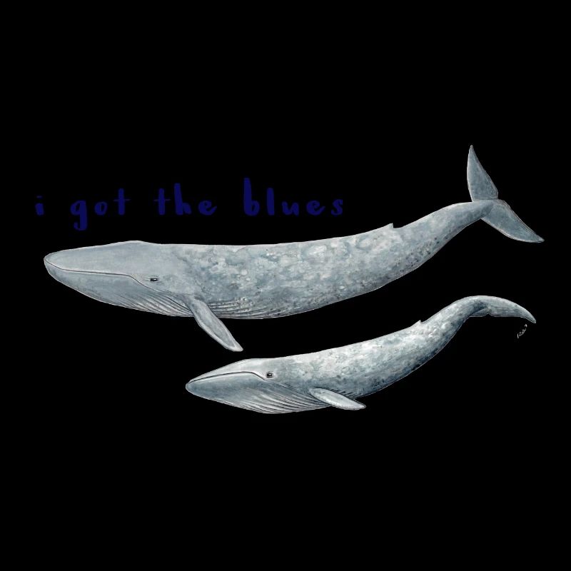 Je suis les baleines blues - baleines. Baleines