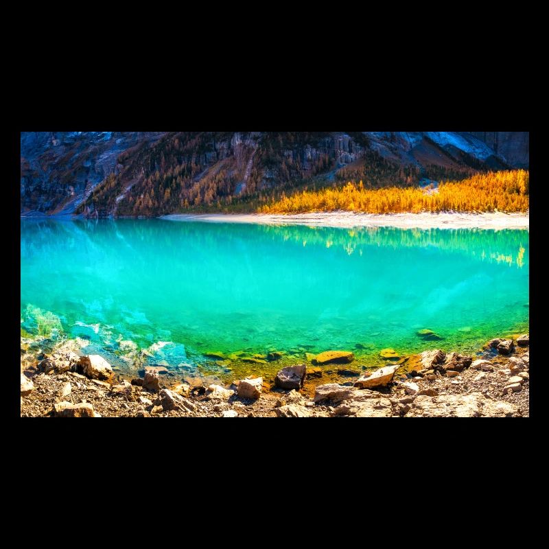 ALPINE PARADISE