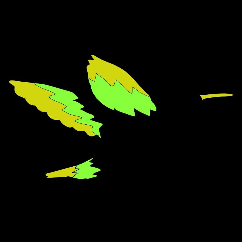 kolibri 01