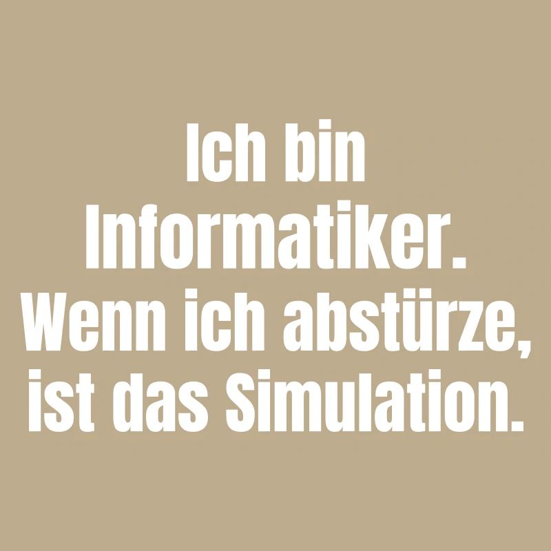 Ich bin Informatiker – Absturz als Simulation