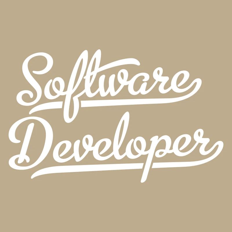 Software Developer