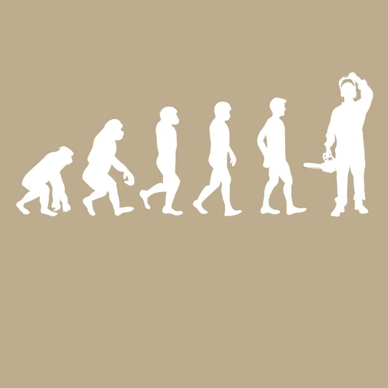Evolution du bois / BOIS /