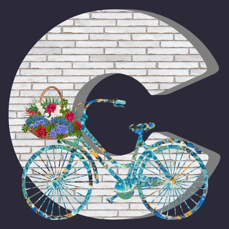 vélo e 100 c