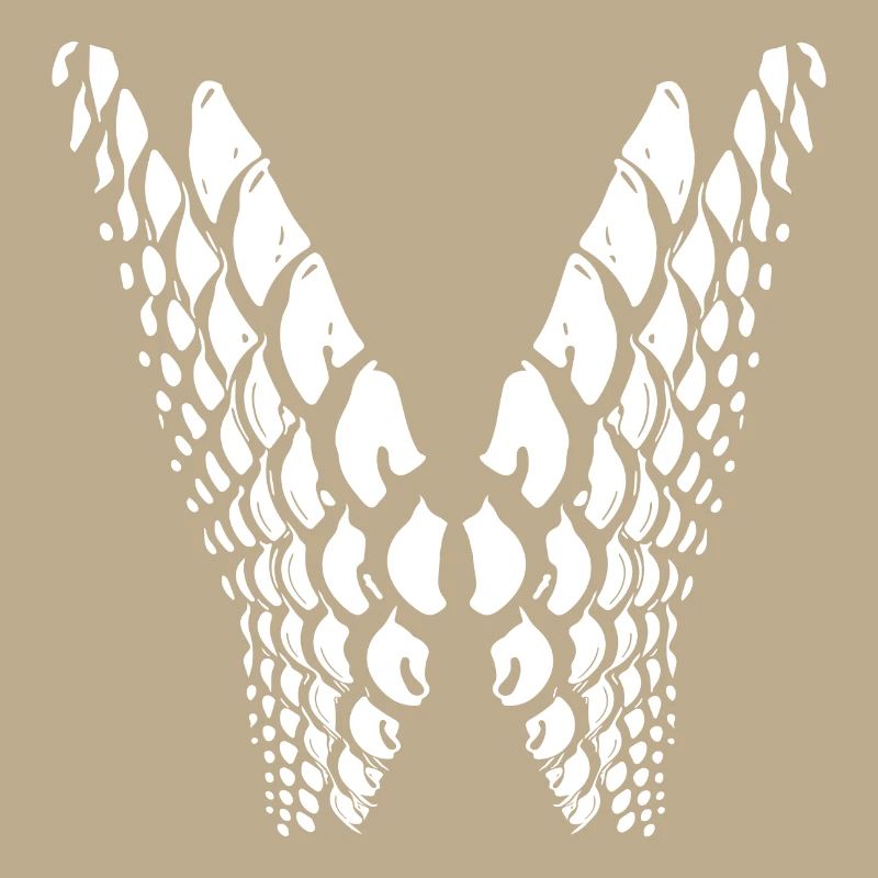 Points géométriques en forme d’aile