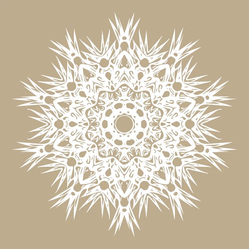 Geometric lines mandala shape