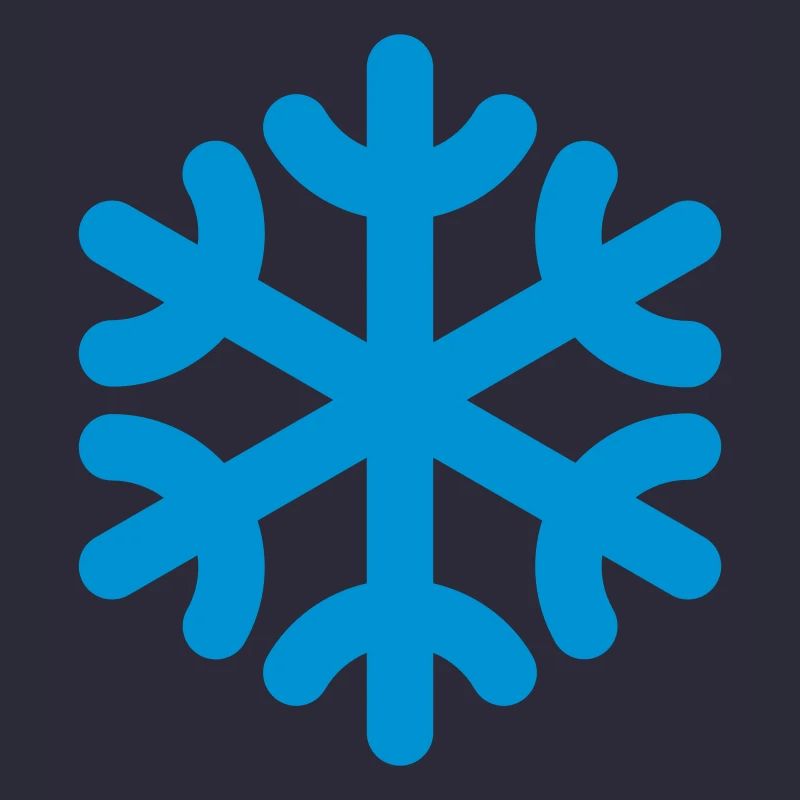 Flocon de neige / flocon de neige