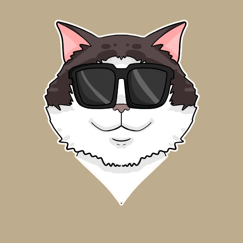 Ragdoll Katze