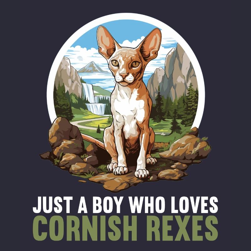 Cornish Rex Kätzchen Cornish Rex Katze