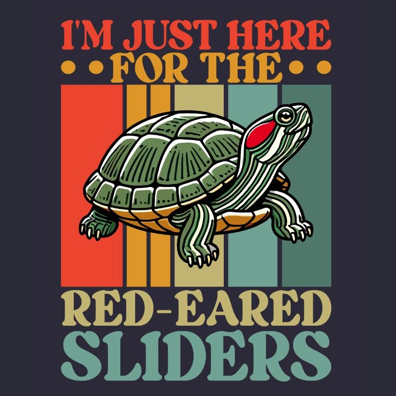 Turtle Red-eared Turtle