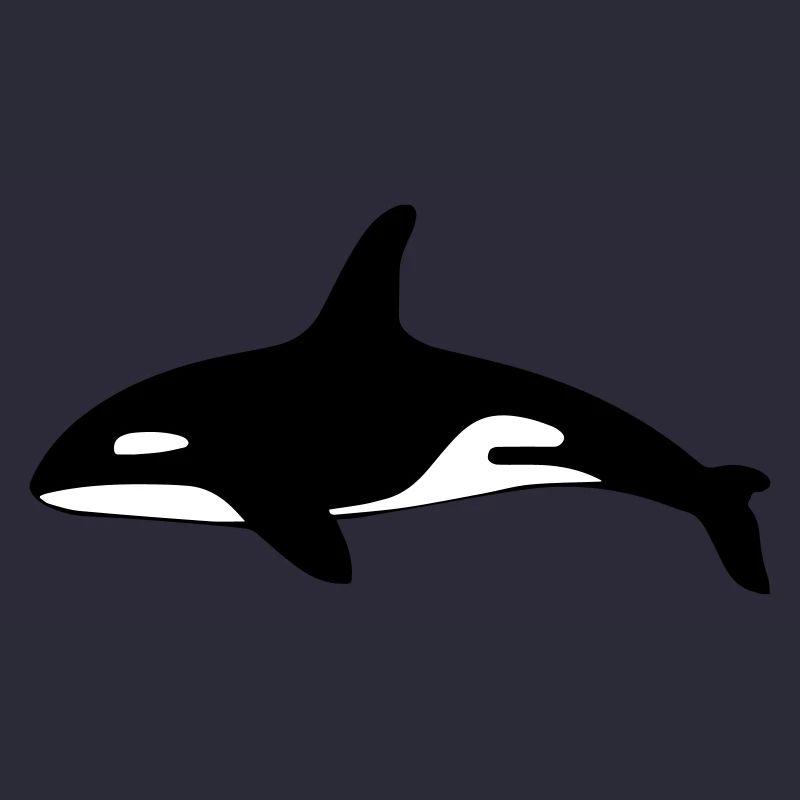 Orque requin océan
