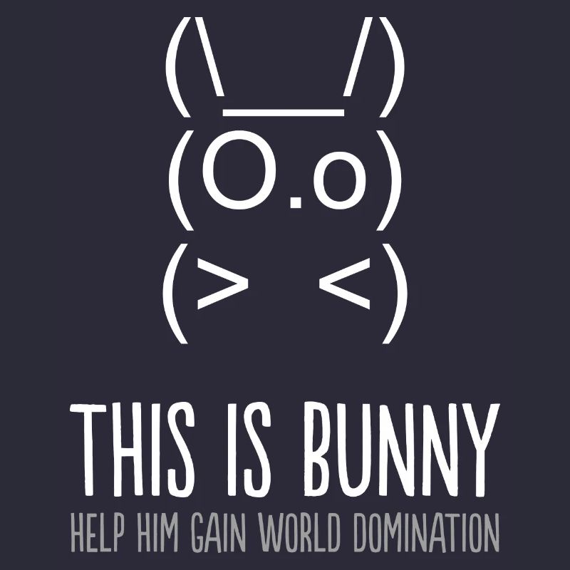 this is bunny
