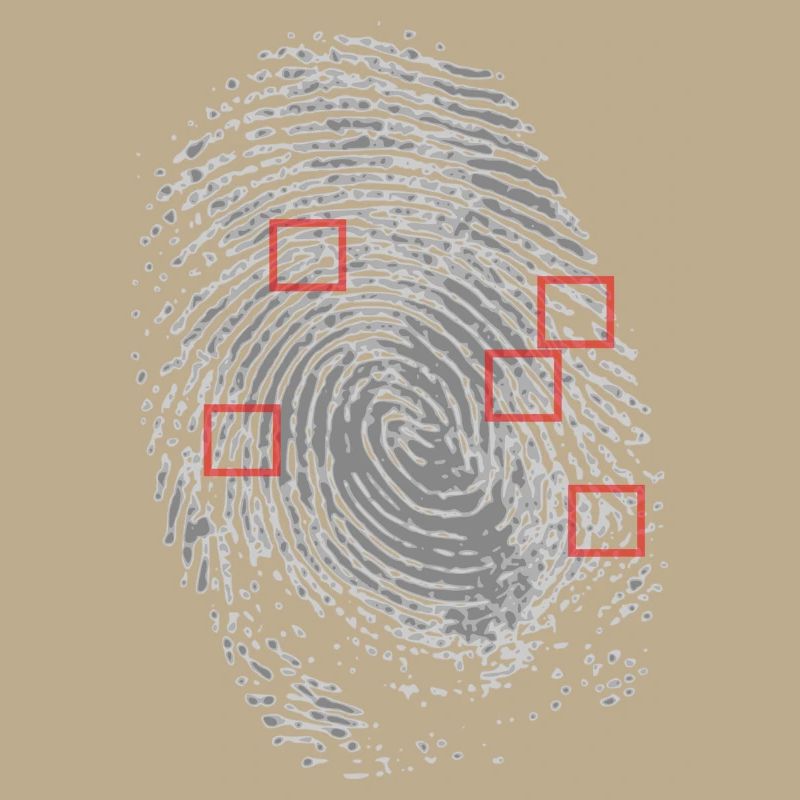 Empreintes digitales avec identification des caractéristiques.