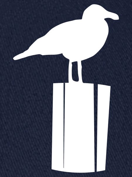 Möwe sitzend