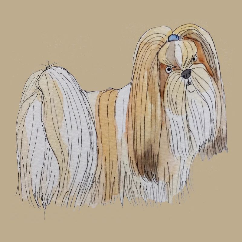 Lhasa Apso Fun
