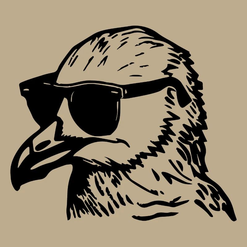 Möwe