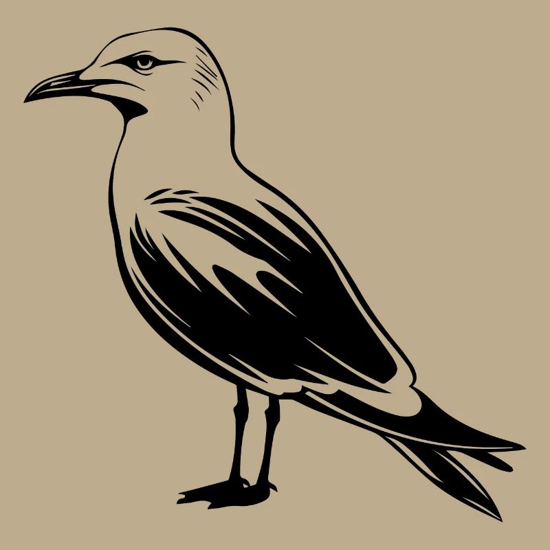Möwe