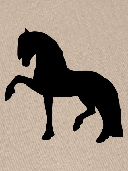 Spanischer Schritt