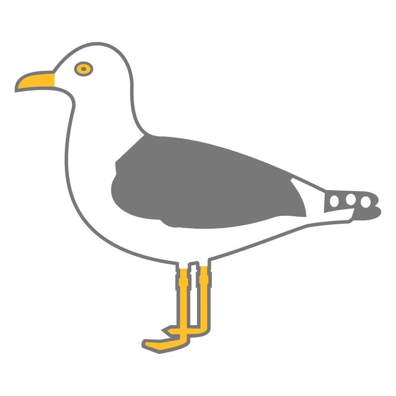 Silbermöwe