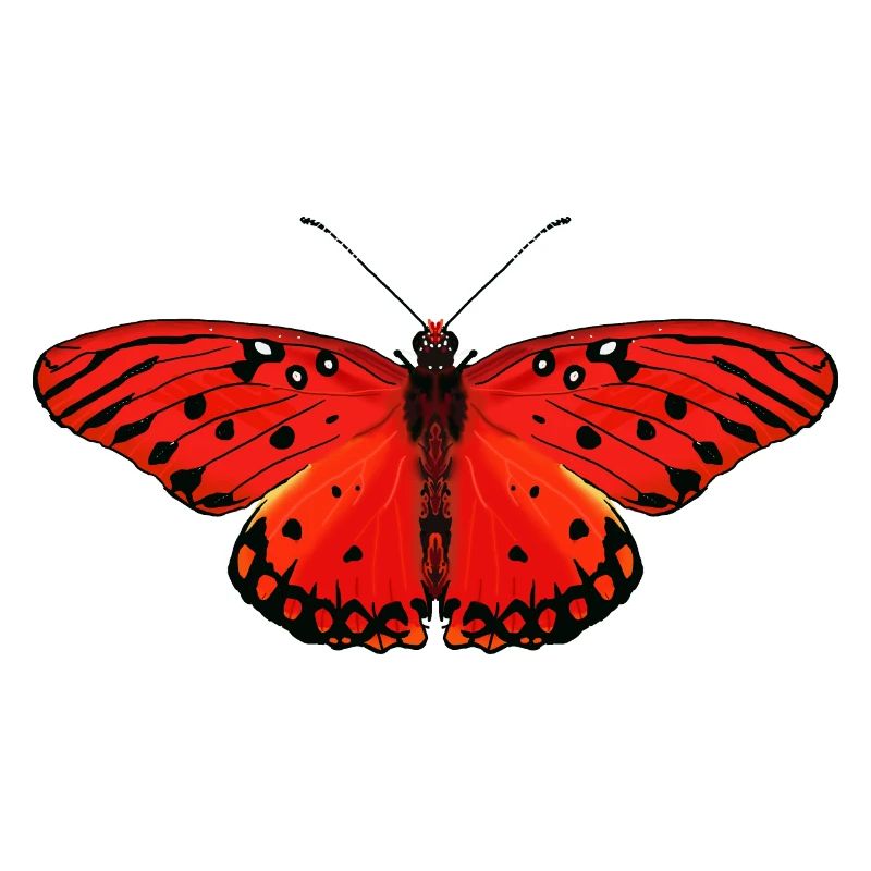 Feuriger roter Schmetterling