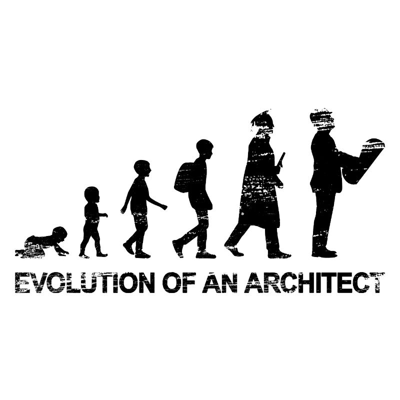 Entwicklung der Architektur