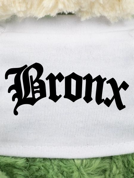Bronx