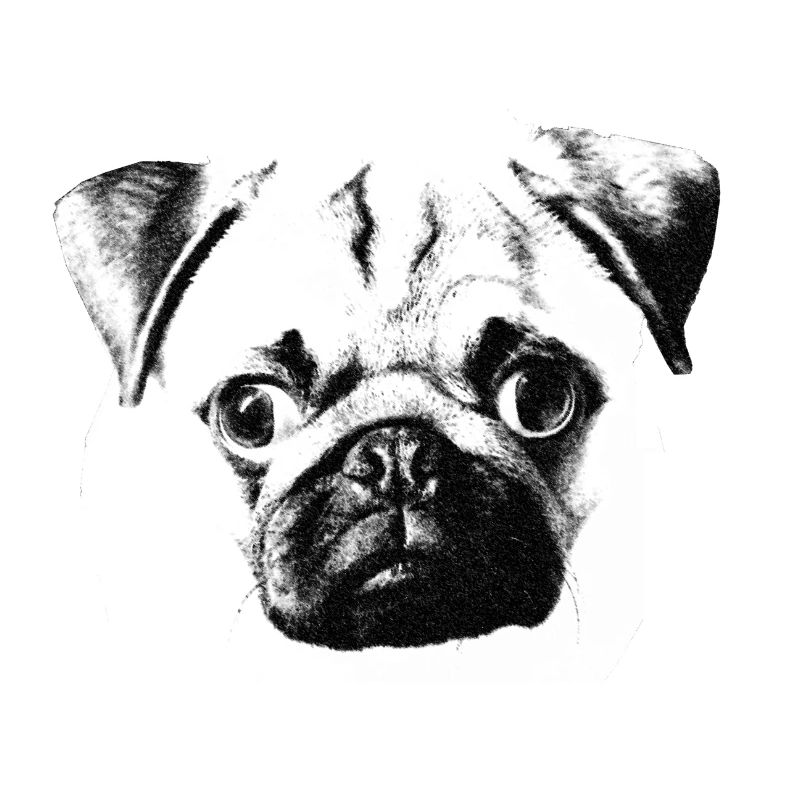 mopsgesicht