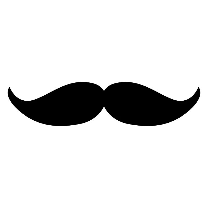 Walrus moustache