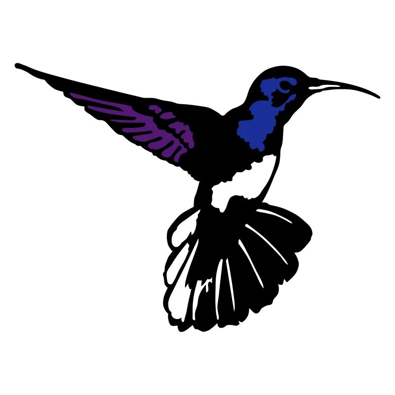 colibri
