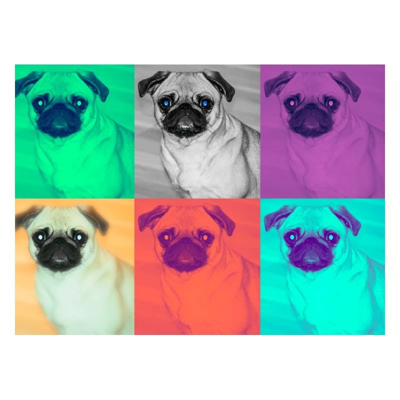 Pop Art Conception de chien