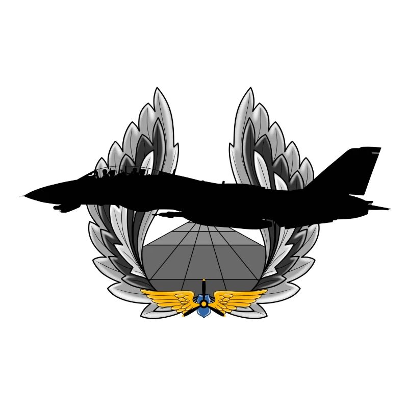 F-14 Tomcat