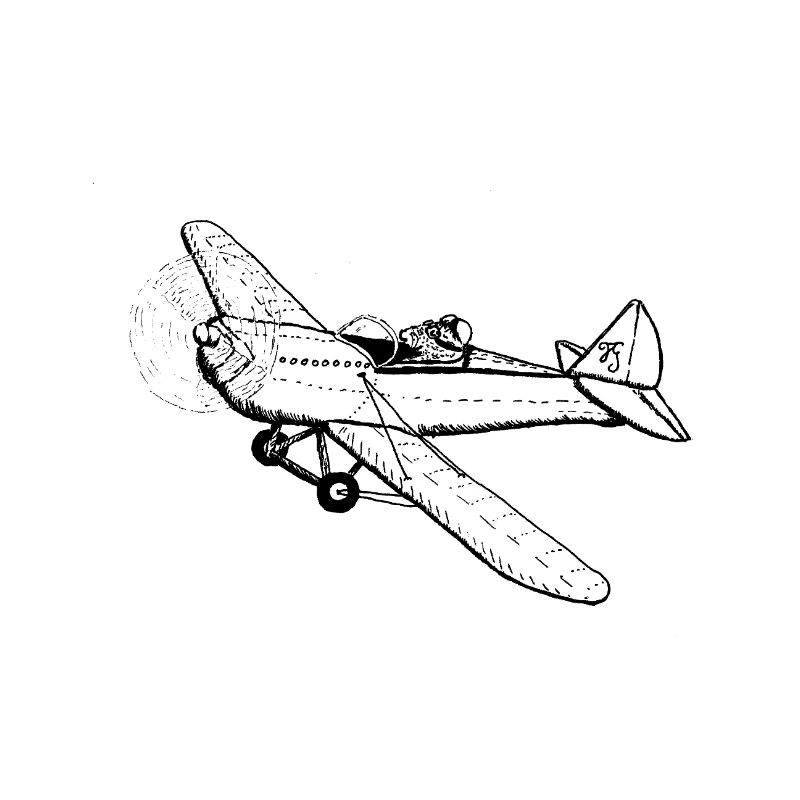 Schnurrhaarpilot