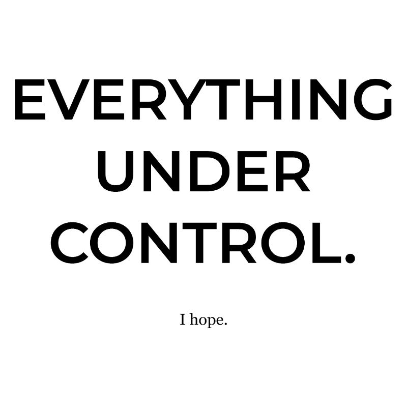Everything under control. I hope so. | Fun Shirt