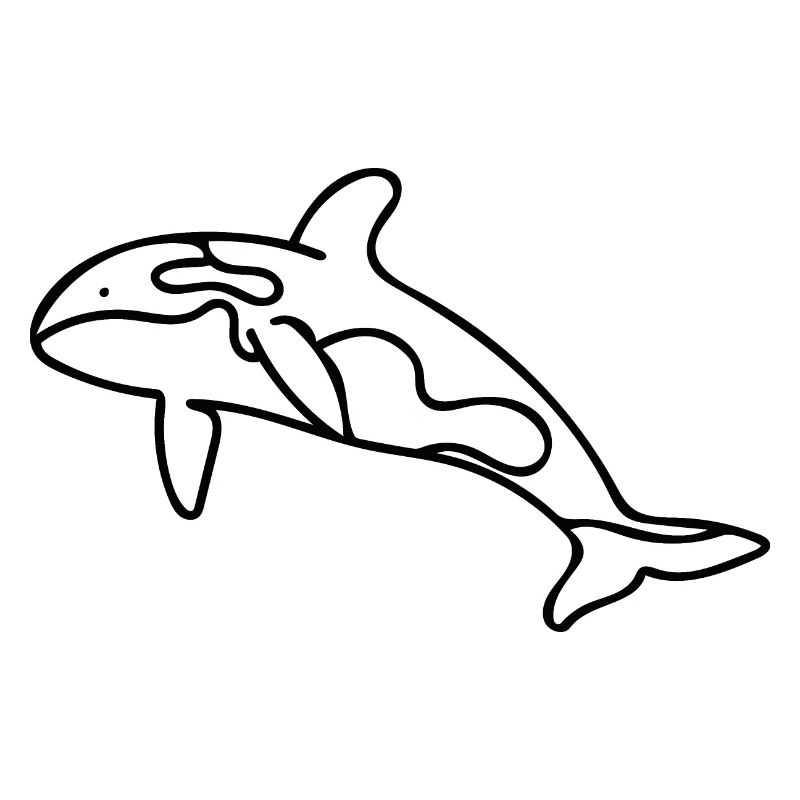 Killerwal - Orca