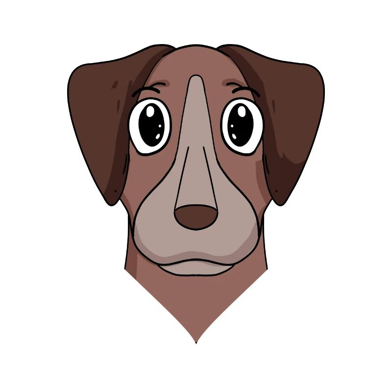 Pointer Hund Hunderasse