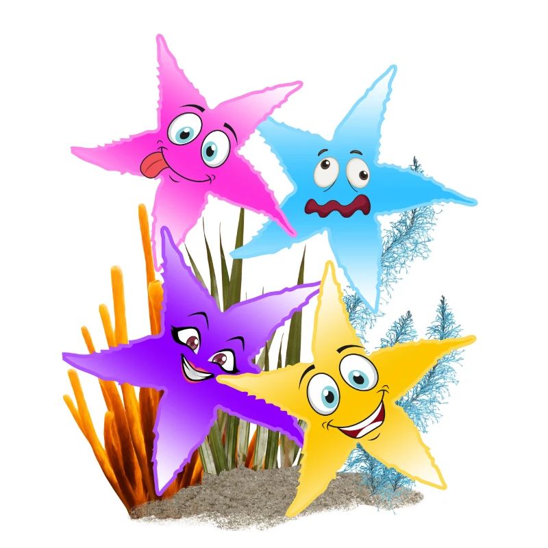Buntes Seestern-Quartett Unterwasser