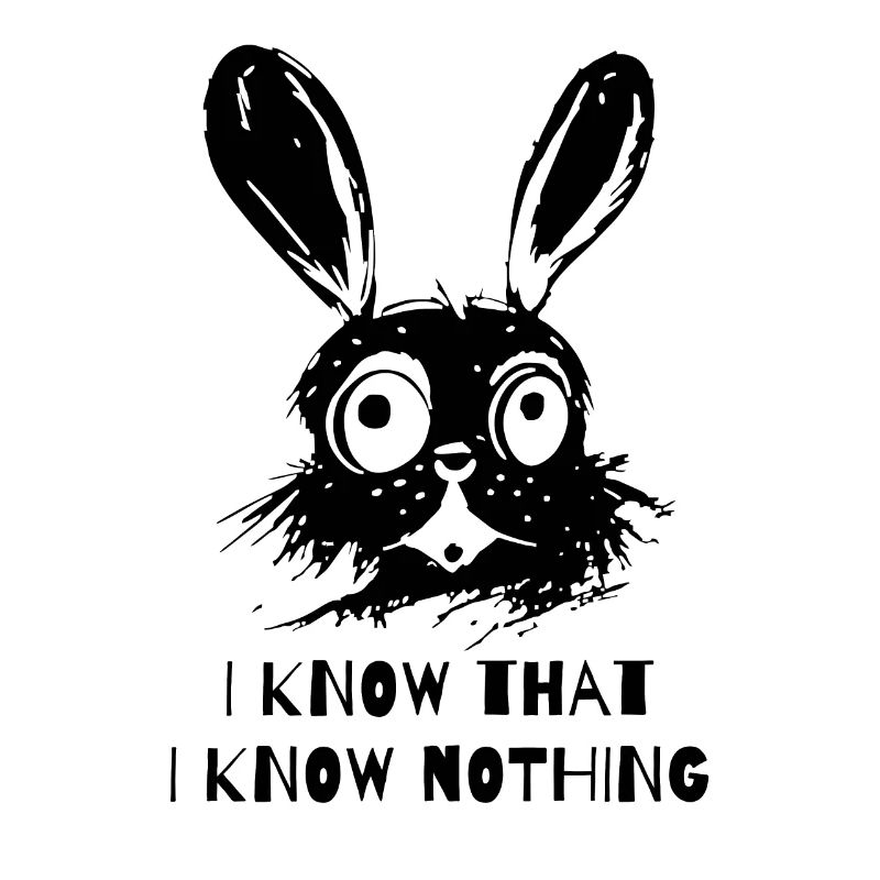 I know that I don't know anything - Wise Rabbit