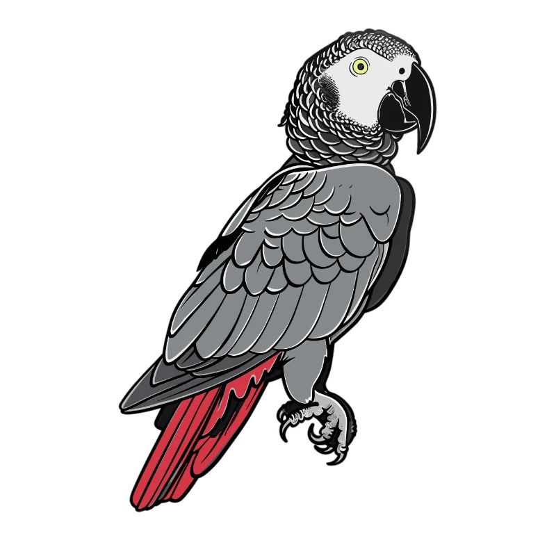 Perroquets gris d’Afrique