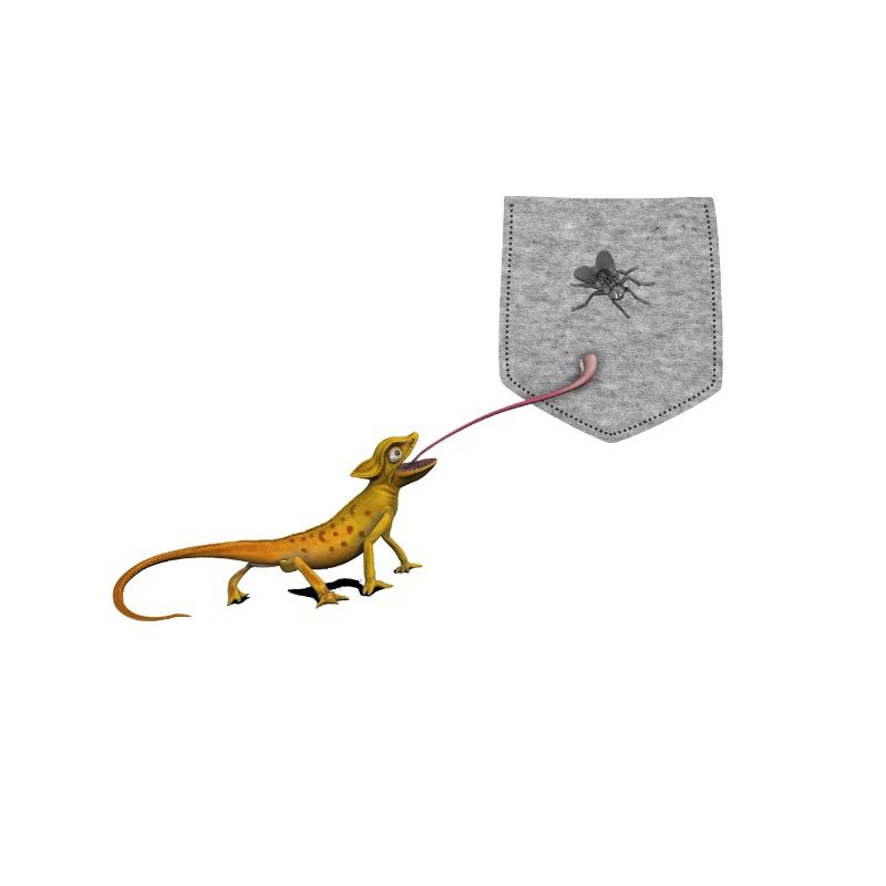 Lizard Tongue Reaching For Fly In Fake Pocket Fun