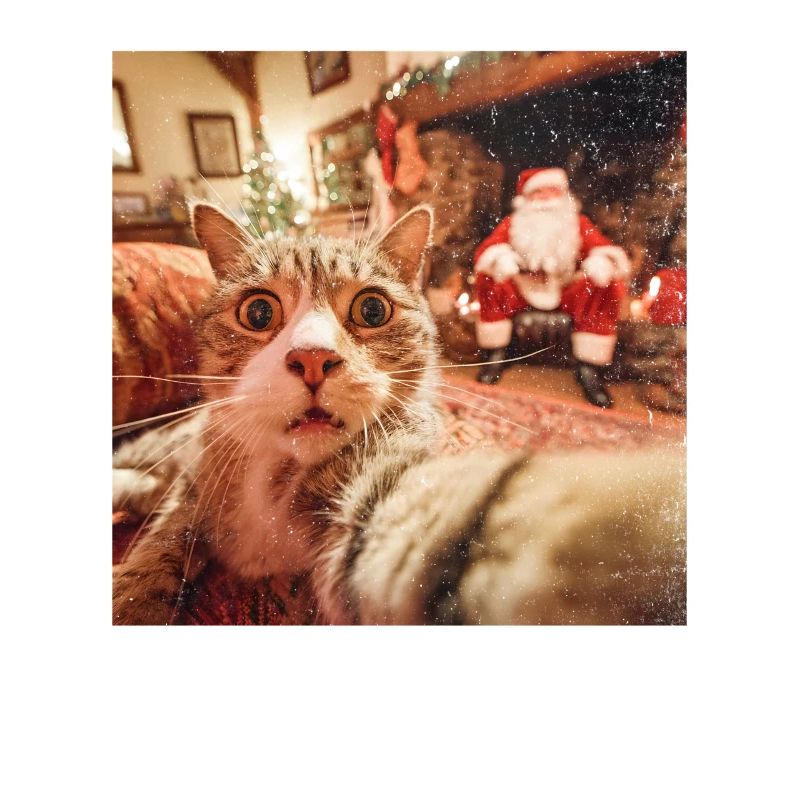 Katze Selfie mit Weihnachtsmann