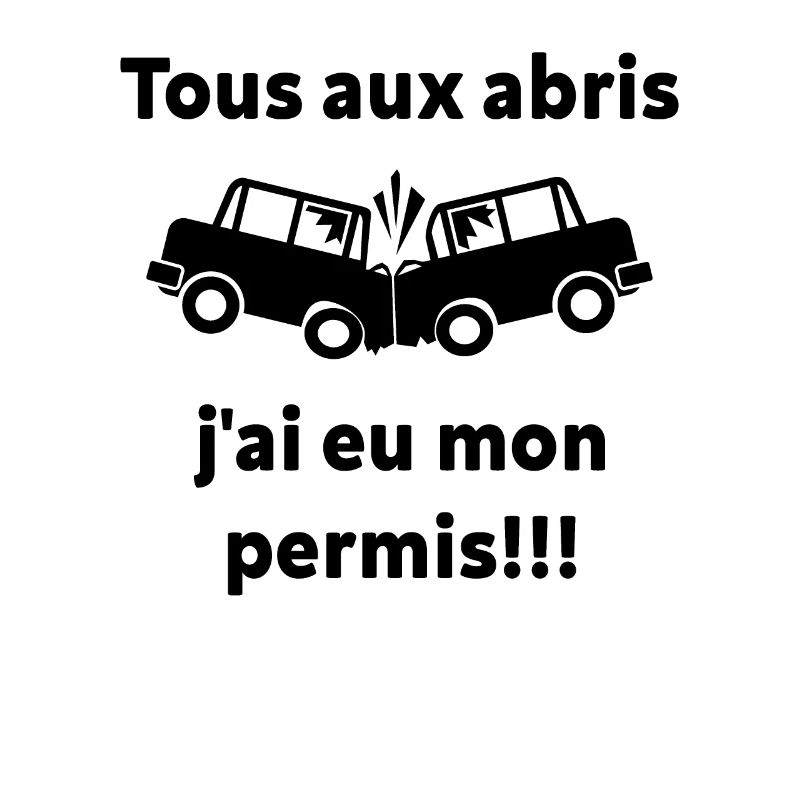 J'ai Eu Mon Permis !