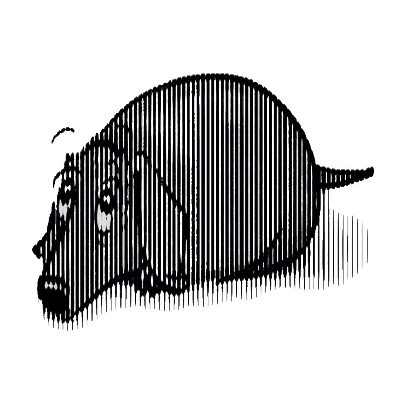 Teckel noir