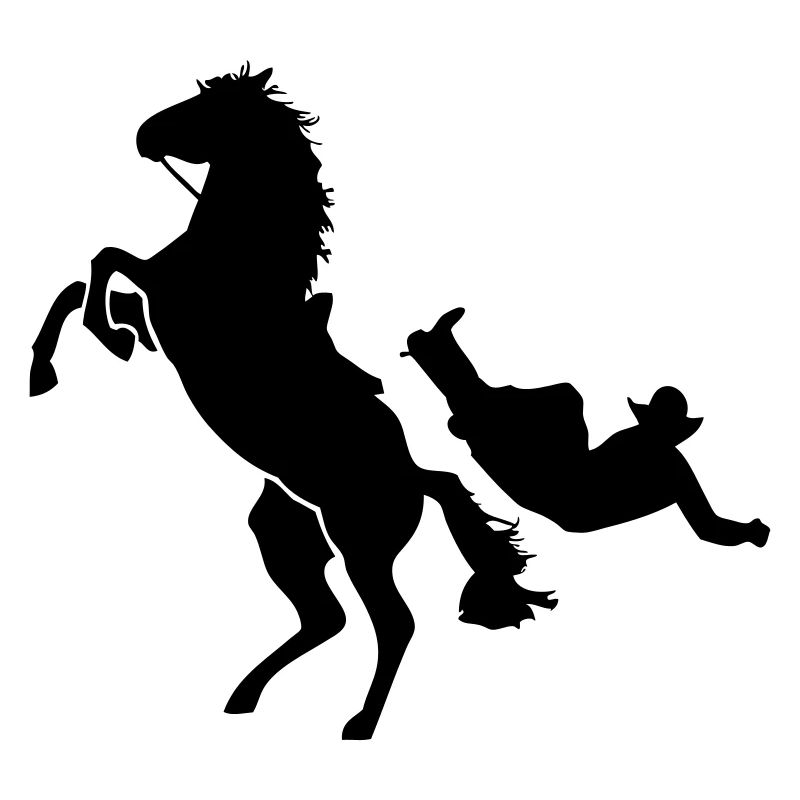 Western Riding - Rodeo