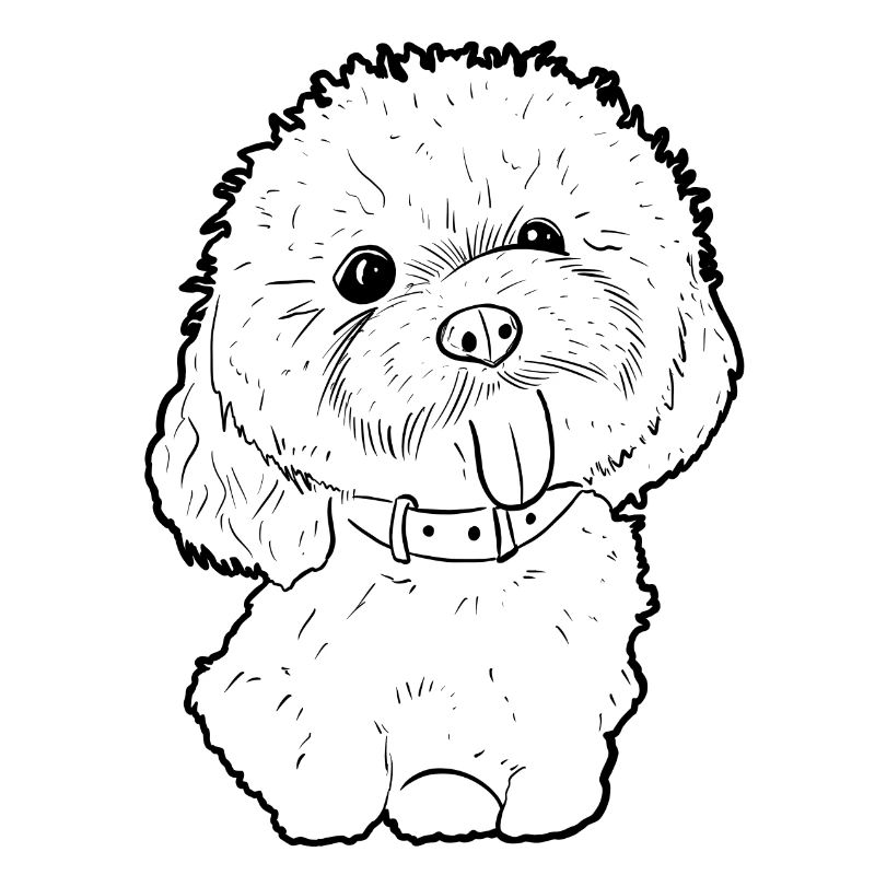 Maltese