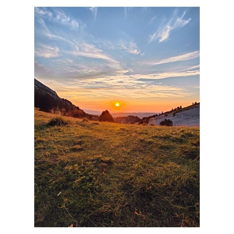 coucher de soleil dorée sur prairie alpine